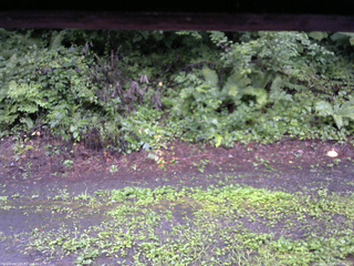 長野県菅平高原 ゆたか山荘 南側 2025/08/11 05:45