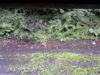 長野県菅平高原 ゆたか山荘 南側 2025/08/11 06:45