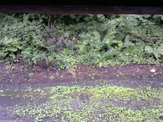 長野県菅平高原 ゆたか山荘 南側 2025/08/11 08:15