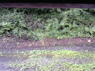 長野県菅平高原 ゆたか山荘 南側 2025/08/11 09:00