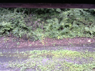 長野県菅平高原 ゆたか山荘 南側 2025/08/11 09:30