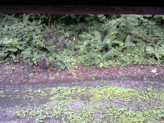 長野県菅平高原 ゆたか山荘 南側 2025/08/11 09:45