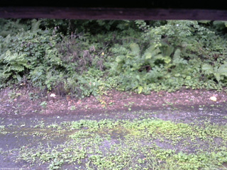 長野県菅平高原 ゆたか山荘 南側 2025/08/11 10:30