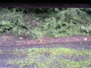 長野県菅平高原 ゆたか山荘 南側 2025/08/11 10:45