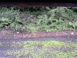 長野県菅平高原 ゆたか山荘 南側 2025/08/11 11:00