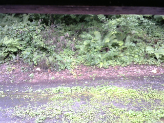 長野県菅平高原 ゆたか山荘 南側 2025/08/11 11:15