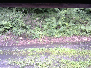 長野県菅平高原 ゆたか山荘 南側 2025/08/11 11:45