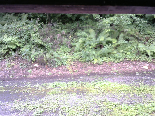 長野県菅平高原 ゆたか山荘 南側 2025/08/11 12:00