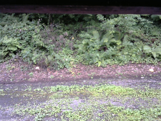 長野県菅平高原 ゆたか山荘 南側 2025/08/11 12:30