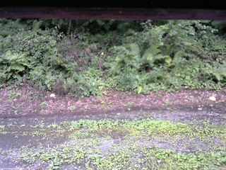 長野県菅平高原 ゆたか山荘 南側 2025/08/11 12:45