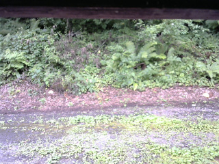 長野県菅平高原 ゆたか山荘 南側 2025/08/11 13:00