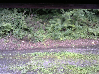 長野県菅平高原 ゆたか山荘 南側 2025/08/11 14:00