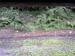 長野県菅平高原 ゆたか山荘 南側 2025/08/11 14:15