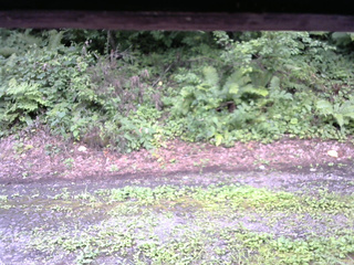 長野県菅平高原 ゆたか山荘 南側 2025/08/11 14:30