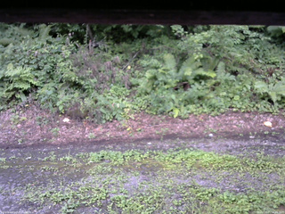 長野県菅平高原 ゆたか山荘 南側 2025/08/11 14:45