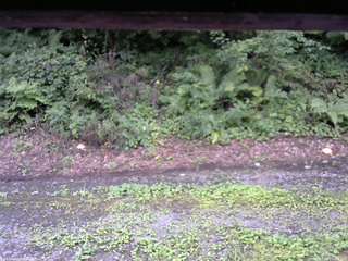 長野県菅平高原 ゆたか山荘 南側 2025/08/11 15:00