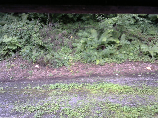 長野県菅平高原 ゆたか山荘 南側 2025/08/11 15:15