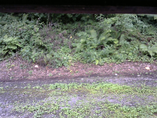 長野県菅平高原 ゆたか山荘 南側 2025/08/11 15:45