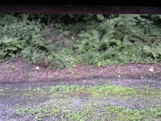 長野県菅平高原 ゆたか山荘 南側 2025/08/11 16:00