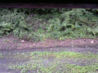 長野県菅平高原 ゆたか山荘 南側 2025/08/11 16:15