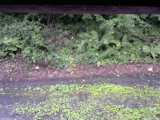 長野県菅平高原 ゆたか山荘 南側 2025/08/11 16:30