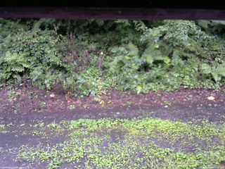 長野県菅平高原 ゆたか山荘 南側 2025/08/11 17:00