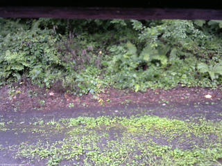 長野県菅平高原 ゆたか山荘 南側 2025/08/11 17:15