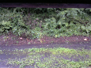 長野県菅平高原 ゆたか山荘 南側 2025/08/11 17:45