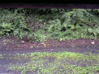 長野県菅平高原 ゆたか山荘 南側 2025/08/11 18:00