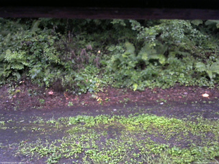 長野県菅平高原 ゆたか山荘 南側 2025/08/11 18:15