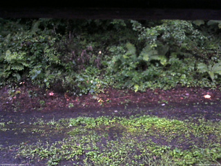 長野県菅平高原 ゆたか山荘 南側 2025/08/11 18:30