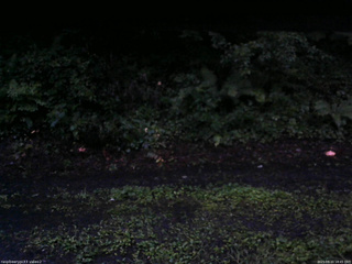 長野県菅平高原 ゆたか山荘 南側 2025/08/11 18:45