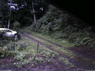 長野県菅平高原 ゆたか山荘 東側(坂下) 2025/08/11 05:00