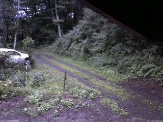 長野県菅平高原 ゆたか山荘 東側(坂下) 2025/08/11 05:15