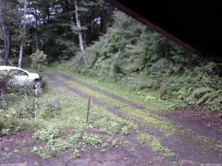 長野県菅平高原 ゆたか山荘 東側(坂下) 2025/08/11 05:45