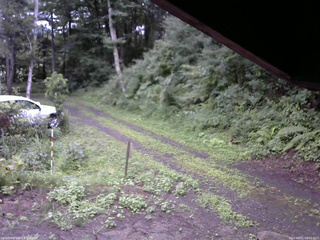 長野県菅平高原 ゆたか山荘 東側(坂下) 2025/08/11 06:15