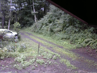 長野県菅平高原 ゆたか山荘 東側(坂下) 2025/08/11 06:30