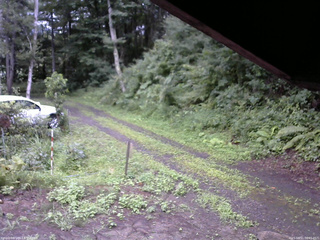 長野県菅平高原 ゆたか山荘 東側(坂下) 2025/08/11 06:45