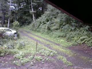 長野県菅平高原 ゆたか山荘 東側(坂下) 2025/08/11 07:30