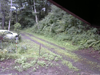 長野県菅平高原 ゆたか山荘 東側(坂下) 2025/08/11 08:15