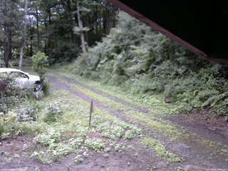 長野県菅平高原 ゆたか山荘 東側(坂下) 2025/08/11 09:00