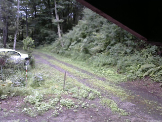 長野県菅平高原 ゆたか山荘 東側(坂下) 2025/08/11 09:15