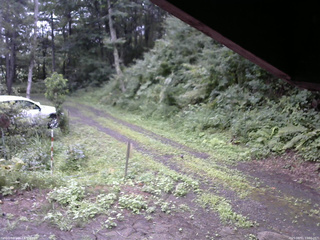 長野県菅平高原 ゆたか山荘 東側(坂下) 2025/08/11 10:30