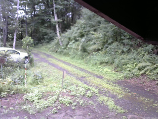 長野県菅平高原 ゆたか山荘 東側(坂下) 2025/08/11 10:45