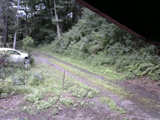 長野県菅平高原 ゆたか山荘 東側(坂下) 2025/08/11 13:00