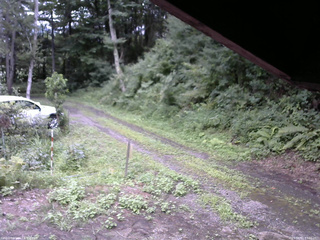 長野県菅平高原 ゆたか山荘 東側(坂下) 2025/08/11 13:30