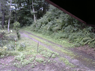 長野県菅平高原 ゆたか山荘 東側(坂下) 2025/08/11 13:45