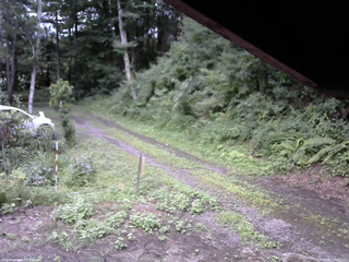 長野県菅平高原 ゆたか山荘 東側(坂下) 2025/08/11 14:00