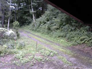 長野県菅平高原 ゆたか山荘 東側(坂下) 2025/08/11 14:15