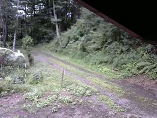 長野県菅平高原 ゆたか山荘 東側(坂下) 2025/08/11 14:30